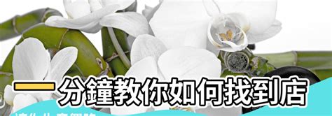 店面方位怎麼看|一分鐘教你如何找到店鋪風水財位，讓你生意興隆